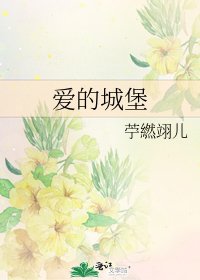 《爱的城堡》