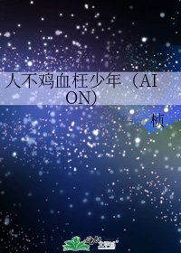 人不鸡血枉少年（AION）