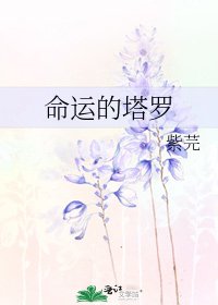 《命运的塔罗》