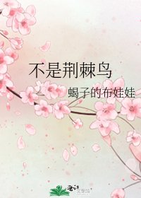 不是荆棘鸟