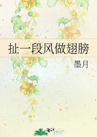 《扯一段风做翅膀》