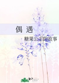 《偶 遇》