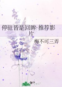 《停驻皆是回眸·推荐影片》