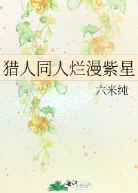 猎人同人烂漫紫星