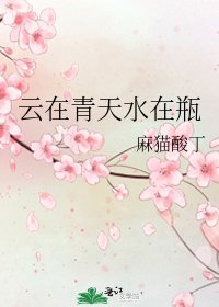 《云在青天水在瓶》