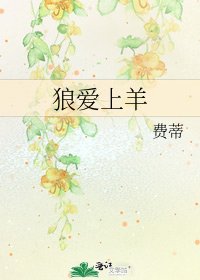 《狼爱上羊》