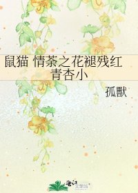 《鼠猫 情荼之花褪残红青杏小》