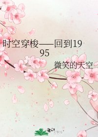 《时空穿梭——回到1995》