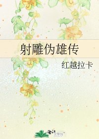 《射雕伪雄传》