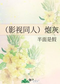 《(影视同人)炮灰》