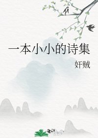 一本小小的诗集