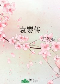 袁婴传