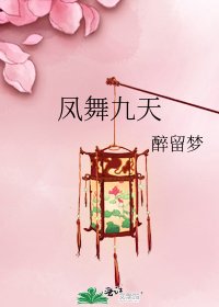 《凤舞九天》