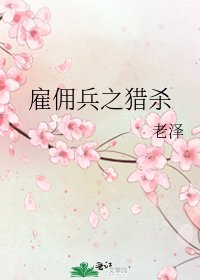 《雇佣兵之猎杀》