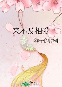 《来不及相爱》