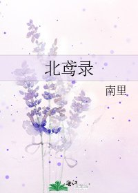 《北鸢录》