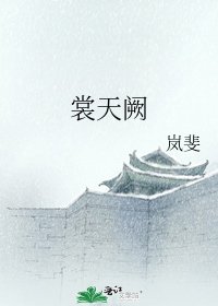 《裳天阙》