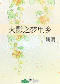 火影之梦里乡
