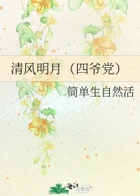 清风明月（四爷党）