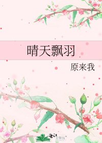 《晴天飘羽》