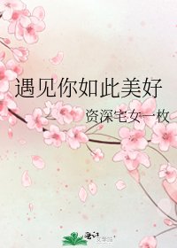 《遇见你如此美好》
