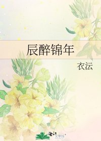 《辰醉锦年》