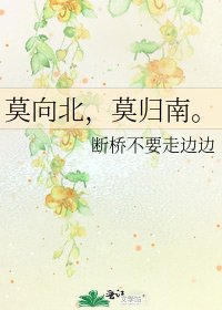 《莫向北,莫归南。》