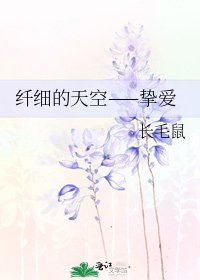 《纤细的天空——挚爱》