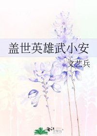 《盖世英雄武小安》