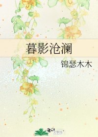 《暮影沧澜》