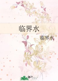 《临界水》