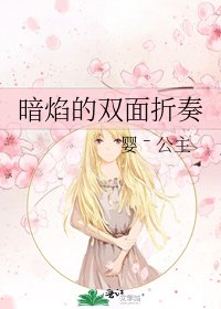 《暗焰的双面折奏》
