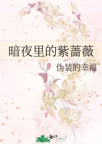 《暗夜里的紫蔷薇》
