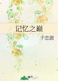 《记忆之巅》