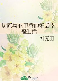 《切原与亚里香的婚后幸福生活》