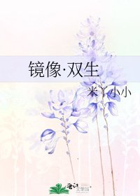 镜像·双生
