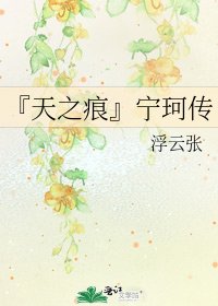 《『天之痕』宁珂传》