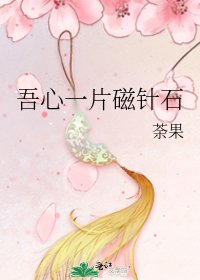 吾心一片磁针石