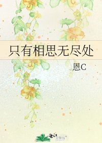 《只有相思无尽处》