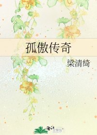 孤傲传奇