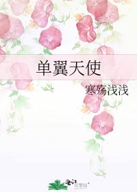 《单翼天使》