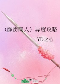 《(霹雳同人)异度攻略》