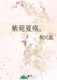 《紫菀夏殇。》