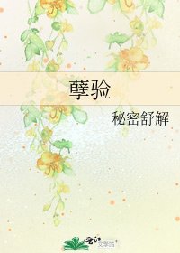 孽验