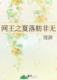 《网王之夏落舫非无》