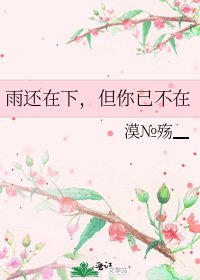 《雨还在下,但你已不在》