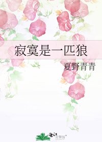 寂寞是一匹狼