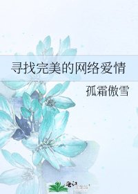 寻找完美的网络爱情