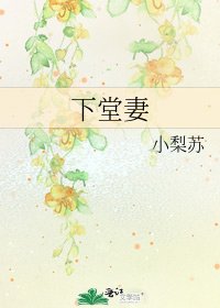 下堂妻
