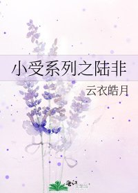 小受系列之陆非